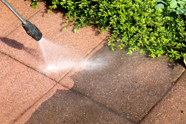 Reliable Tacoma, WA Pressure Washing Solutions